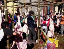 Proposal Permohonan Daging Kurban di Dusun Krajan Banjarnegara Mulai Berdatangan