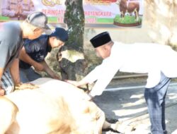 Qurban Presisi, Polresta Pati Bagikan Daging Kepada Dhuafa Hingga Ponpes