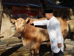 Qurban Presisi, Polresta Pati Bagikan Daging Kepada Dhuafa dan Ponpes