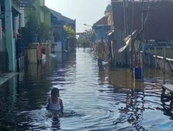 Soal Upaya Pemkot Semarang Tangani Banjir Rob, Ini Kata Pakar