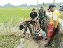 TNI Batang Gandeng Pemdes Selamatkan Lahan Pangan Terimbas Tol