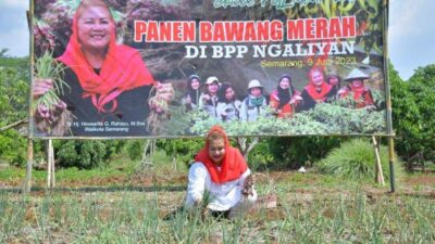 Walkot Ingin Kota Semarang Jadi Pemasok Bawang Merah di Sejumlah Daerah