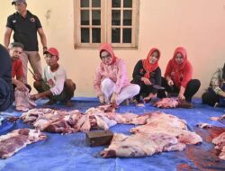 Bupati Sukoharjo ‘Rewang’ dan Ikut Potong Daging Hewan Kurban