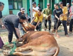 DPP Sukoharjo Temukan Banyak Hewan Kurban Terjangkit Cacing Hati, Diduga dari Luar Daerah