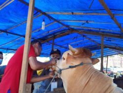 Hewan Ternak Masuk ke Semarang Dipastikan Sudah Skrining guna Antisipasi Penyakit Antraks