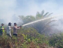 Karhutla di Nagan Raya, Polda Aceh: Berhasil Dipadamkan Petugas