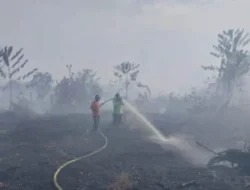 Karhutla di Nagan Raya, Polda Aceh Sebut Berhasil Dipadamkan Petugas
