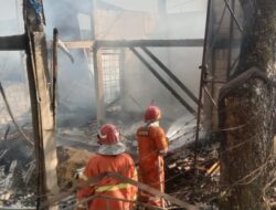 Kebakaran Kandang Ayam di Semarang, Diduga Api dari Tabung Elpiji