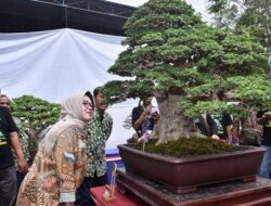 Bupati Sukoharjo Berikan Aprresiasi Pameran Bonsai di Gelora Merdeka Jombor