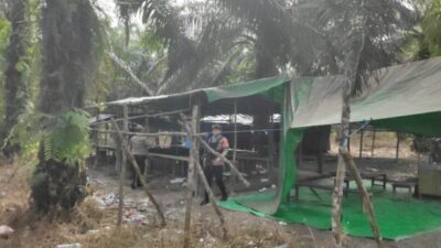 Bongkar Judi Sabung Ayam, Polres Lamandau Robohkan Bangunan Kayu