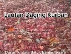 Separuh Warga Dusun di Banjarnegara Berkurban, Penampakan Daging 25 Ton Viral