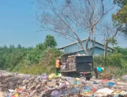 Duh! Kendaraan Pelat Merah Cuek Buang Sampah Bikin Kumuh Pantai di Rembang