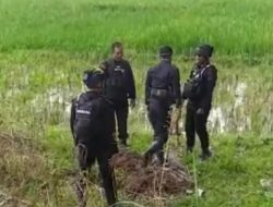 Warga Gumelem Banjarnegara Temukan Peluru Mortir di Sawah