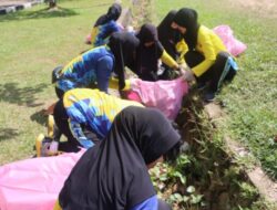 Peduli Lingkungan, Polwan Polres Lamandau Bersih-Bersih di Bundaran Rusa