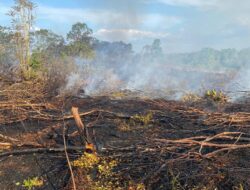 Cek Lokasi Kebakaran Lahan, Polsek Bulik Dalami Penyebabnya