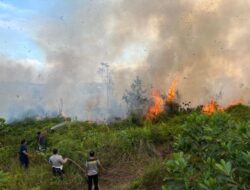 Lahan di Nanga Bulik Terbakar, Polsek Bulik Dalami Penyebabnya