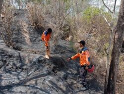 Kebakaran Lahan di Wonogiri Telan Korban Jiwa