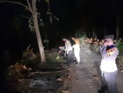 Koordinat Karhutla Deteksi Satelit NASA: Polsek Pati Temukan Titik Api di Desa Sinoman