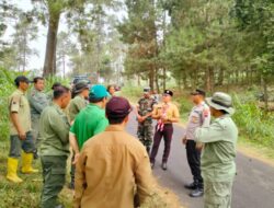 Upaya Tangkal Kebakaran Hutan: Patroli Gabungan TNI-Polri-Polhut di Desa Pacet