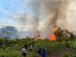 Dalami Penyebab Kebakaran Lahan, Polsek Bulik Cek Lokasi Kejadian