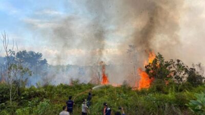 Penyebab Kebakaran Lahan di Nanga Bulik Didalami Polsek Bulik