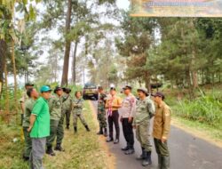 Aksi Antisipasi Karhutla: Gabungan TNI, Polri, Polhut Patroli Hutan Pacet