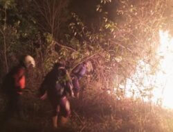 BPBD Kabupaten Semarang Tangani 4 Kebakaran pada Hari yang Sama