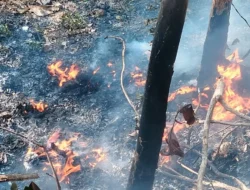 Cegah Kebakaran, Polres Jepara Gelar Patroli di Hutan