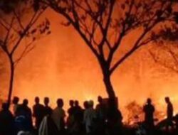 Kabar Kebakaran di Kebun Raya Indrokilo Boyolali Viral, Pemkab: Lahan Warga