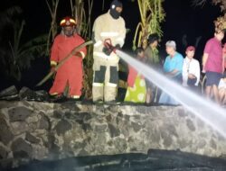 16 Kambing Terpanggang saat Kebakaran Kandang di Bergas Semarang
