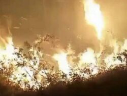 Area Gunung Kelir Kabupaten Semarang Terbakar, 10 Hektare Lahan Hangus