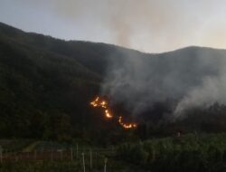 Kebakaran di Kawasan Wisata Bukit Mongkrang Tawangmangu Karanganyar