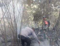 Kebakaran di Lereng Gunung Lawu Karanganyar Sudah Padam, Total 12,5 Hektare Lahan Hangus Terbakar