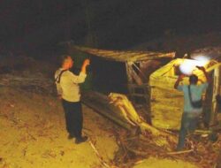 Kecelakaan Truk di Grobogan Terjun ke Jurang Sedalam 50 Meter, Sopir Tewas
