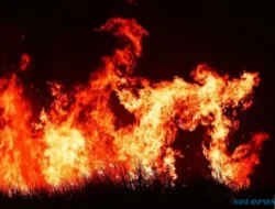 Duh! 171 Kebakaran Hutan & Lahan Terjadi di Jateng, Terbanyak Soloraya