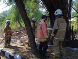 Belum Ada Sebulan, 59 Kasus Kebakaran Terjadi di Semarang Selama September