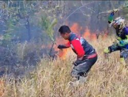 Temui Kebakaran Saat Jelajah Hutan, Kapolres Pekalongan AKBP Wahyu Ikut Padamkan Api