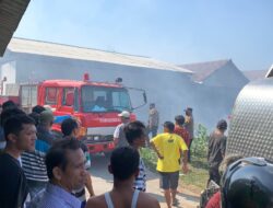 Personel Polsek Juwana dan Tim Damkar Berjibaku Padamkan Kebakaran Lahan di Growong Kidul