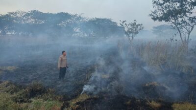 Tim Damkar dan Polsek Juwana Padamkan Kebakaran Lahan di Desa Dukutalit