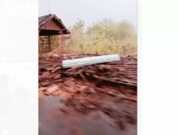 Angin Puting Beliung Amuk 2 Kecamatan di Boyolali, Pohon Tumbang hingga Atap Rumah Beterbangan