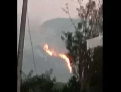 Terjadi Kebakaran di Lereng Gunung Ungaran Semarang