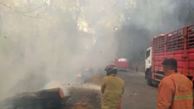 Breaking News! Hutan Gunung Pegat Wonogiri Kebakaran, Lokasi Dekat SPBE