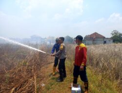 Cegah Karhutla, Polsek Juwana Berhasil Padamkan Kebakaran Lahan di Desa Mintomulyo