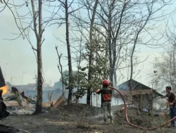 Gudang Kayu Jati di Sumberjo Rembang Terbakar, Damkar Kesulitan Padamkan Api