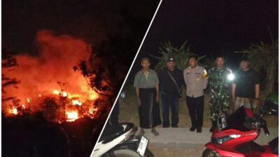 Kebakaran Melanda Perkebunan PTPN Jolong di Pati, 3 Hektar Lahan Terbakar