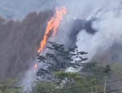 Kebakaran Melanda Gunung Kobar Banjarnegara