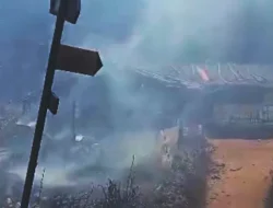 Hutan Area Puncak Gunung Lawu Terbakar, Api Merembet ke Wilayah Karanganyar