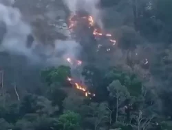 Kronologi dan Dugaan Penyebab Kebakaran Hutan di lereng Gunung Muria Kudus