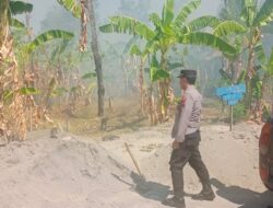 Kapolresta Pati: Kebakaran Rumput Ilalang Terjadi di Lokasi Eks TPK