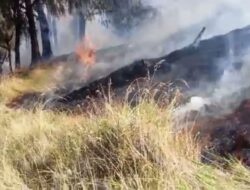 Kebakaran Gunung Lawu di Wilayah Karanganyar Hanguskan 910 Hektare Lahan